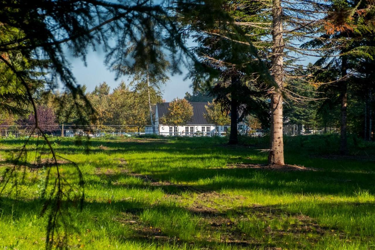 كوغ Troldegaarden Guesthouse المظهر الخارجي الصورة